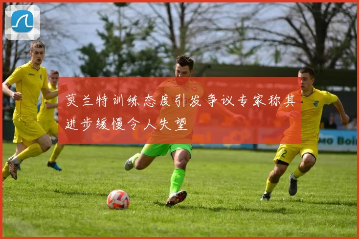 莫兰特训练态度引发争议专家称其进步缓慢令人失望